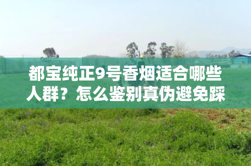 都宝纯正9号香烟适合哪些人群？怎么鉴别真伪避免踩坑？